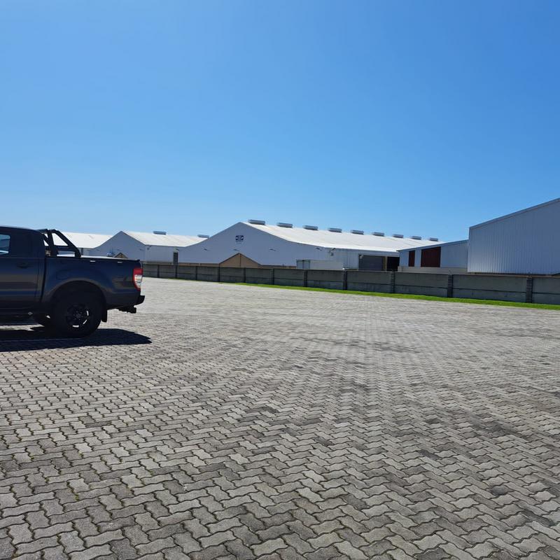 To Let commercial Property for Rent in Greenbushes Eastern Cape